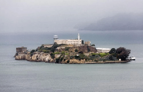 iwINkb61oz.png image