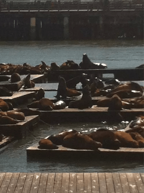 KuqSYkHw1P.png image