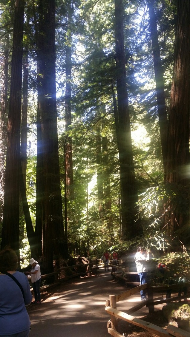 20150813_141116.jpg image