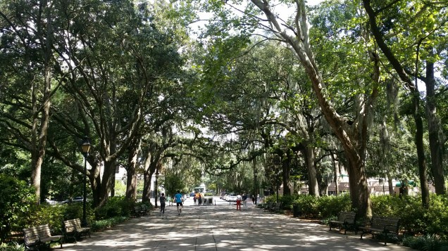 20150909_114645.jpg image