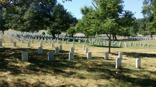 20150911_141726.jpg image