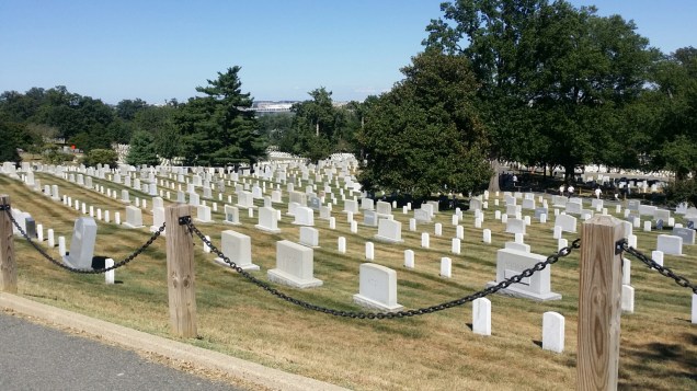 20150911_145213.jpg image