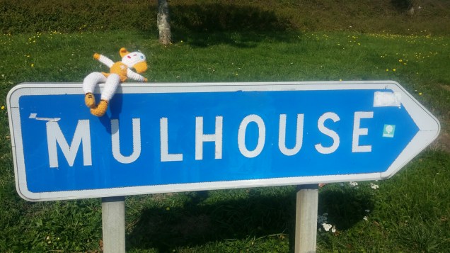 20150927_141359.jpg image