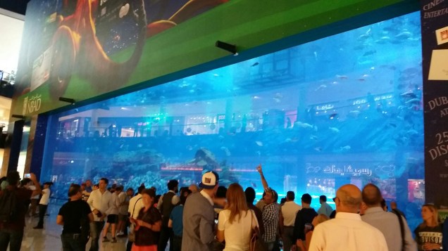 20151023_121418.jpg image